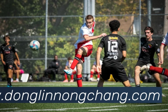 奖项四